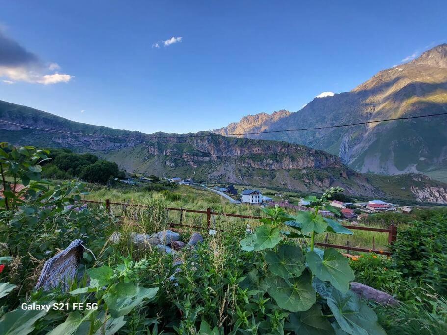 Peak House Villa Kasbegi Buitenkant foto
